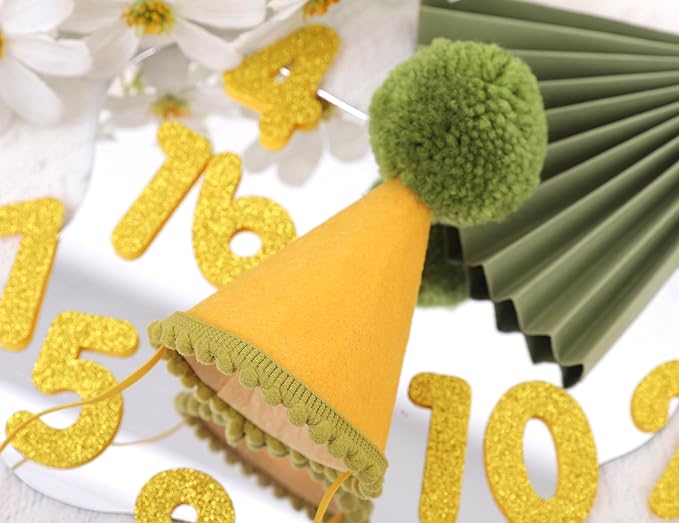 Pet Birthday Hat with Interchangeable Numbers 1-10 | Adjustable Pet Party Cone Hat for Dogs & Cats | Puppy Birthday Photo Props for 1st to 10th Birthday Celebrations (Yellow Green Birthday Pet Hat)