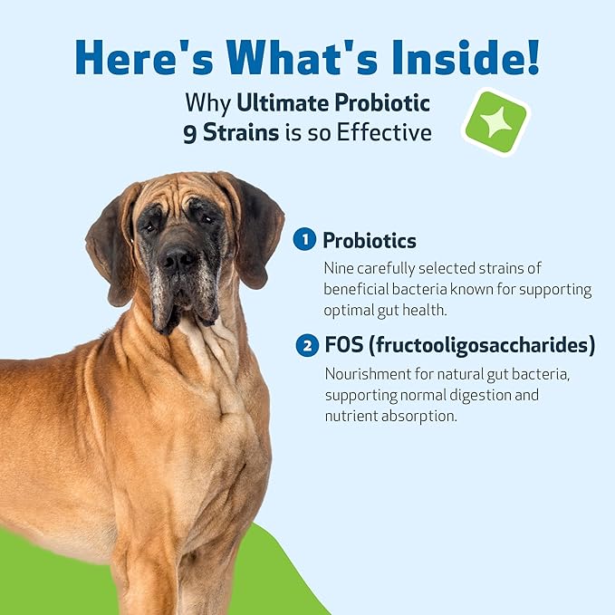 Pet Wellbeing Ultimate Probiotic 9 Strains for Dogs & Cats - Supports The Gut Microbiome and Digestion, Immune System Care, Urinary Tract Health, FOS, 2.5 Billion CFU - 11.29 oz (320 g) Powder