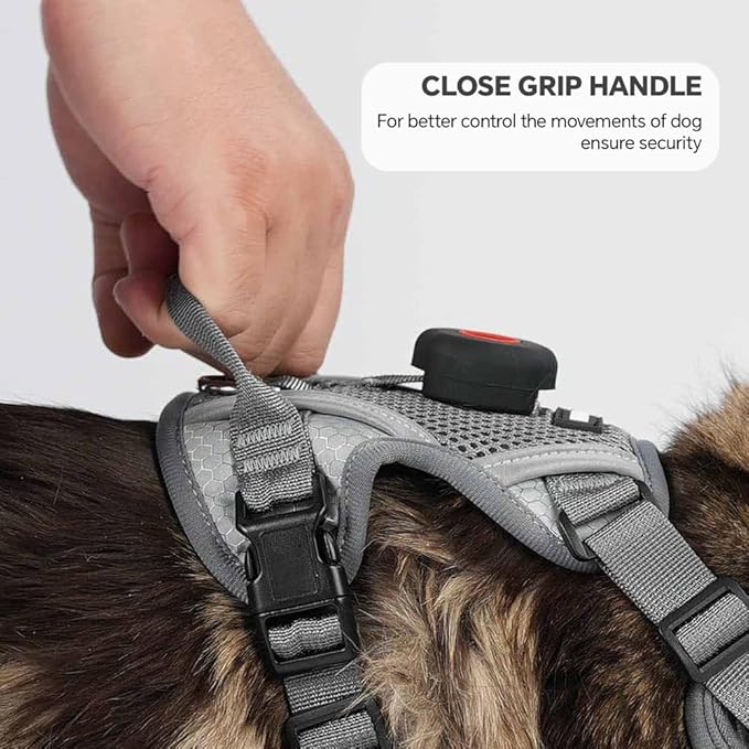 Cat Harness and Leash Set with AirTag Holder: Upgraded Escape Proof Vest with Lead for Small Dog Puppy Large Cat Walking，Soft Breathable Mesh Coat with Reflective Strip (Grey, M)