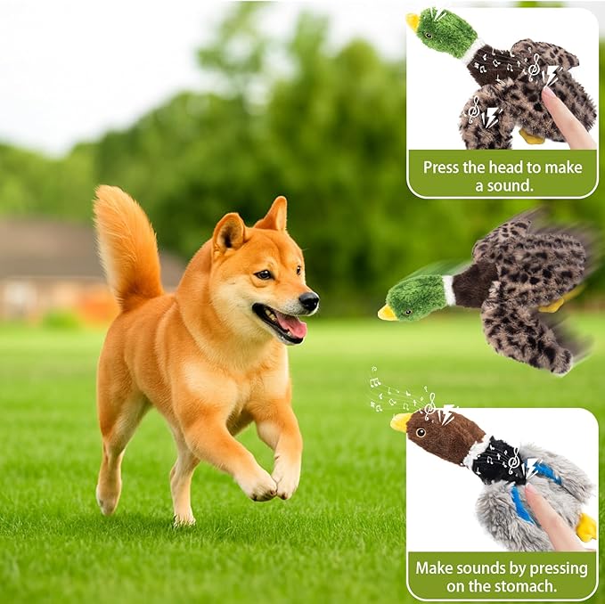 2-Pack Stuffing-Free Squeaky Dog Toys – Hollow-Body Gray Plush (2 Squeakers) & Mallard (4 Squeakers) | Durable Hollow Body for Medium Dogs | No Stuffing, Safe & Mess-Free