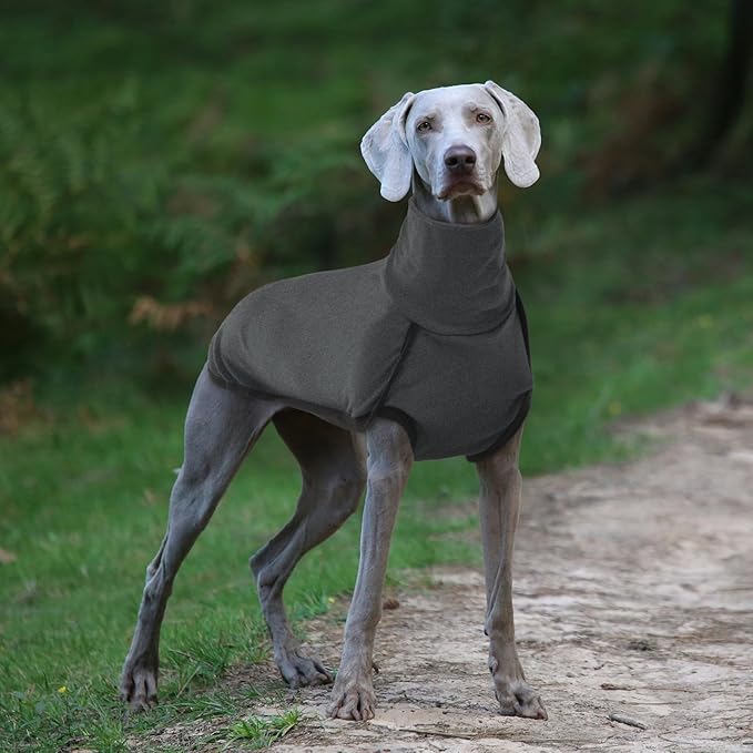 ROZKITCH Lightweight Dog Winter Coat Soft Pullover Pajamas, Pet Windproof Warm Cold Weather Jacket Vest Cozy Jumpsuit Apparel Outfit Clothes for Walking Hiking Travel Sleep Black L