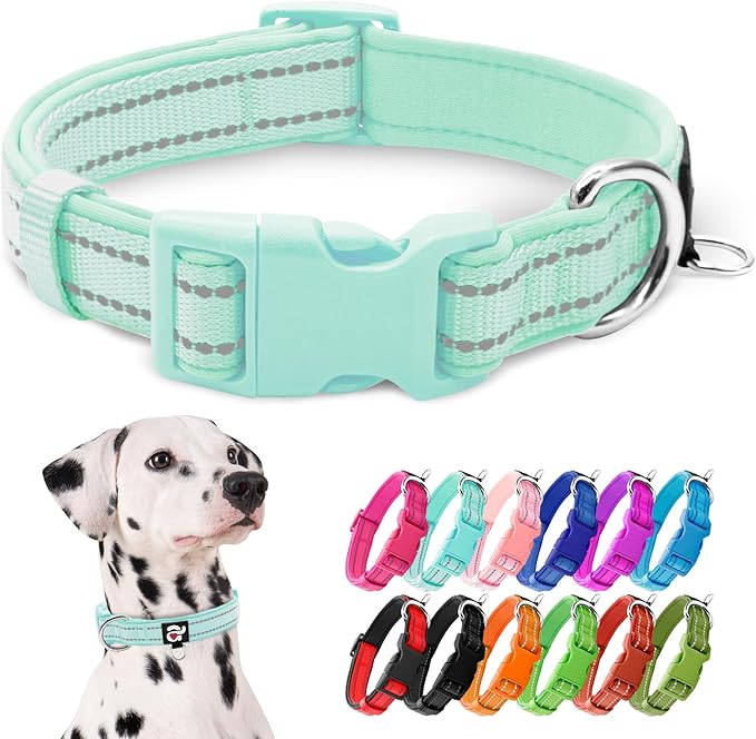 azuza Reflective Dog Collar, Soft Neoprene Padded Pet Collar with ID Tag Ring, Adjustable for Large Dogs,Teal,L