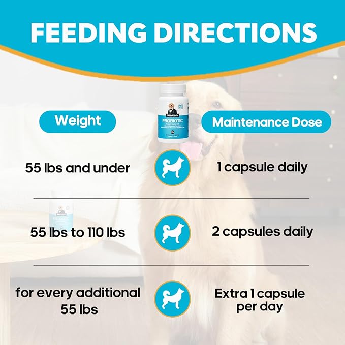 Probiotics for Dogs, Dog Probiotics with Digestive Enzymes with and Prebiotics for Support Gut & Digestion Health, Immune Support, Reduce Diarrhea, 120 Capsules