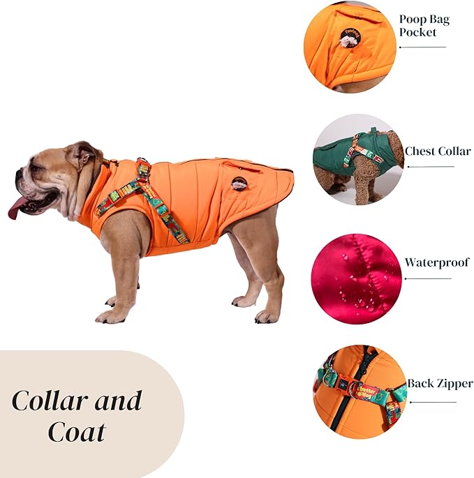 Generic Pawlook Dog Raincoat with Chest Leash and Collar, Reusable Waterproof Pet Coat for Small Dogs, Medium Dogs, Large Dogs (Orange, X-Small)