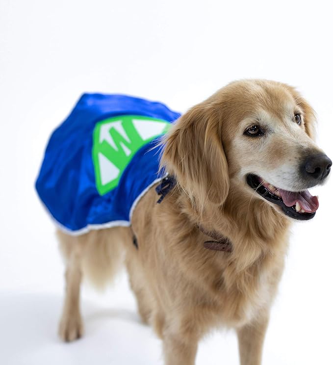 Everfan Personalized Dog Superhero Cape (Medium 15" Long (10-25 lbs), Navy Blue)