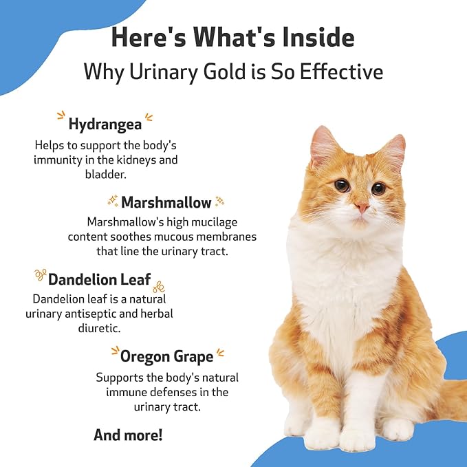 Pet Wellbeing Urinary Gold for Cats - Vet-Formulated Multi-Herb Urinary Tract Support - Feline Bladder Health & Urinary System Wellness - Holistic Cat Supplement - Liquid Formula 2 oz (59ml)