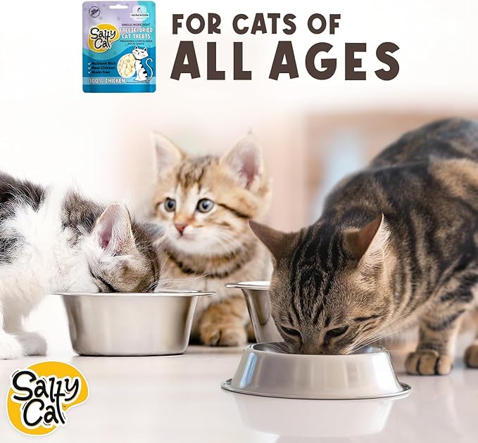 Salty Cat Freeze Dried Cat Treats, 100% Real Chicken Breast Dried Cat Food for Freshness, Single Ingredient & Grain Free Kitten Treats, Nutrient Rich, 10g (12 Pack)