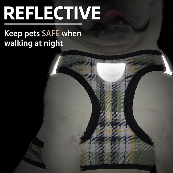 PUPTECK Adjustable Dog Harness Collar and Leash Set Step in No Pull Pet Harness for Small Medium Dogs Puppy and Cats Outdoor Walking Running, Soft Mesh Padded Reflective Vest Harnesses, Grn&YLW, S
