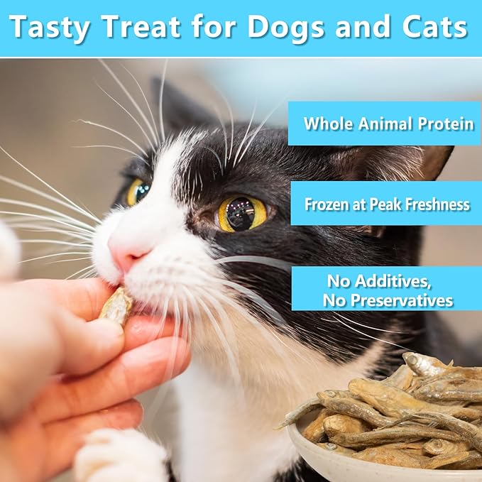 Minnows 8 oz Freeze Dried Minnows, 100% Natural Premium Cat & Dog Treats, Freeze Dried Pet Treats for Cats Dogs Bulk Package (8 OZ)
