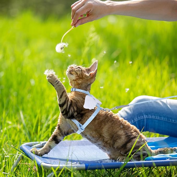 TIESOME Cat Harness and Leash Set, Adjustable Gradient Kitten Harness Escape Proof Harness with Leash for Kitty Outdoor Walking (Sky Blue)