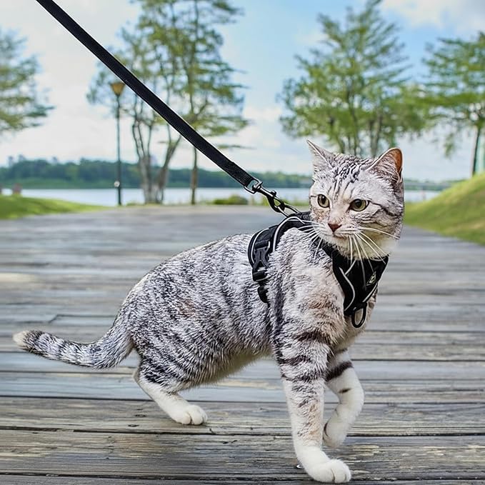Cat Harness and Leash Set Escape Proof Tactical Small Kitten Harness Emotional Support Cat Vest, Black, S