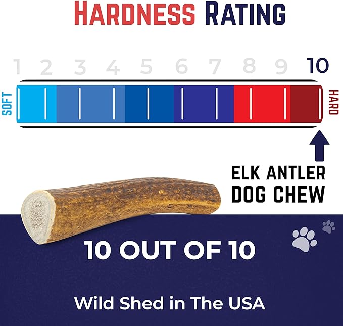 Devil Dog Pet Co. Elk Antlers for Dogs, Large 6"+, 1 Pack, Grade A Long Lasting Chew for Aggressive Chewers, Premium USA Naturally Shed Antler – Healthy, No Odor, Durable Dog Chew