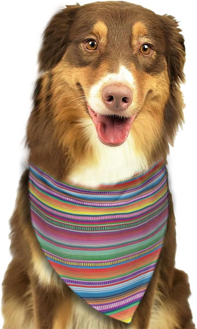 Mexican Serape Color Stripe Dog Bandana Scarf Triangle Bibs Pet Accessories Cat Kerchief