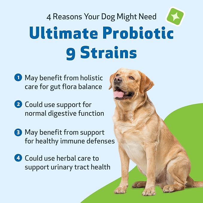 Pet Wellbeing - Ultimate Probiotic 9 Strains for Cats and Dogs - Natural Support for Digestion and Urinary Tract Health 160 Grams.