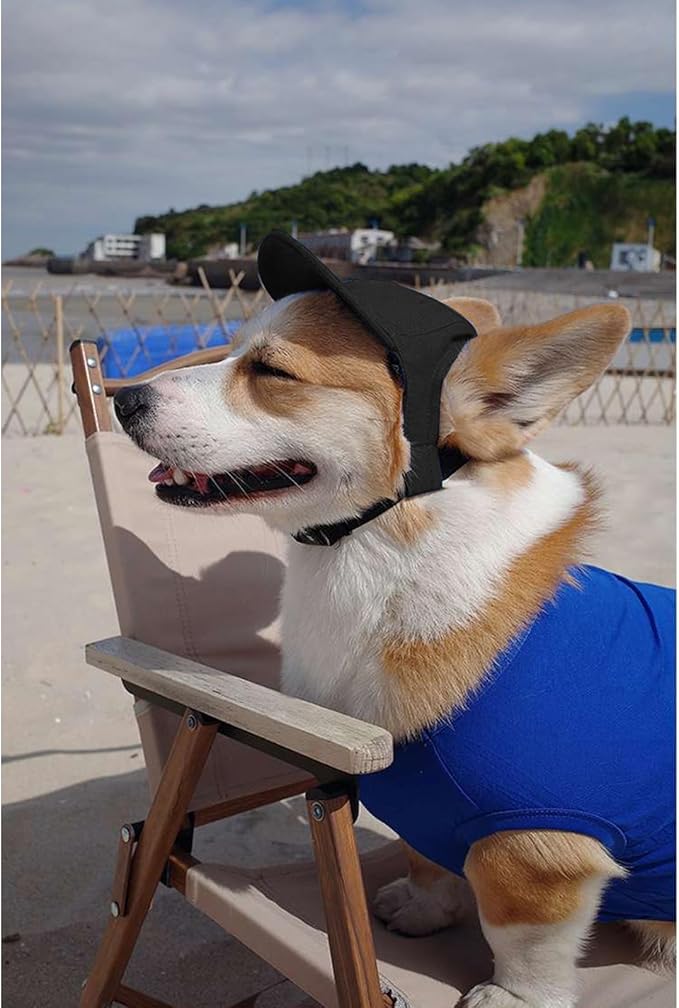 Dog Cap - Small, Pink, Geometric Pattern, Ear Holes, Adjustable Strap, All Season, Waterproof, UV Protection, Baseball Cap, Trucker Hat, Dog Hats for Small Dogs with Ear Holes