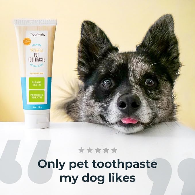 Oxyfresh Premium Cat & Dog Toothpaste - Best Teeth Cleaning Gel Helps Fight Plaque, Tartar and Extreme Bad Cat & Dog Bad Breath - Vet Approved Pet Dental Care Toothpaste - 4oz
