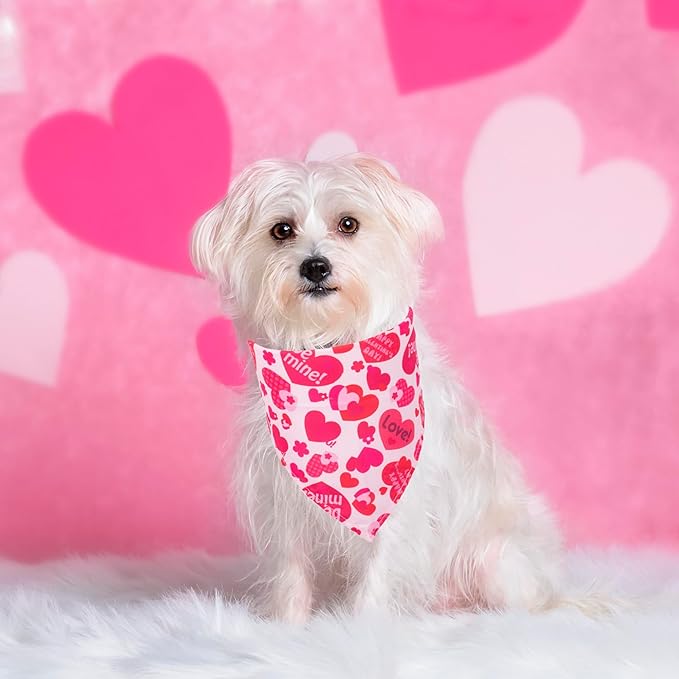 ADOGGYGO 4 Pack Valentine Dog Bandana Triangle Pet Scarf Red Pink Heart Pattern Valentine Bandanas for Medium Large Dogs (Large)