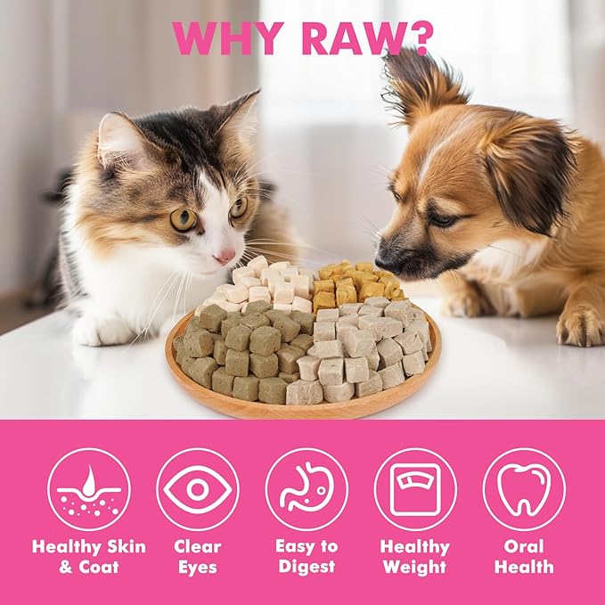 Freeze Dried Cats & Dogs Raw Treats, All Natural Single Ingredient Duck Breast, High Protein Healthy Pet Training Treats or Food Topper, 5.3 oz