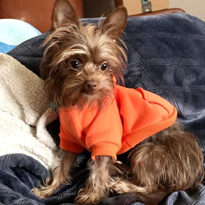 Jecikelon Winter Dog Hoodie Sweatshirts with Pockets Warm Dog Clothes for Small Dogs Chihuahua Coat Clothing Puppy Cat Custume (Orange, X-Large)