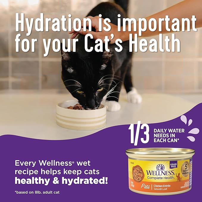 Wellness Complete Health Pate Adult Wet Cat Food, Natural, Protein-Rich, Grain Free, 12.5 Ounce, 12 Pack, (Beef & Chicken)