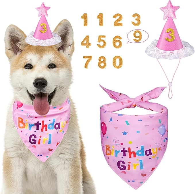 Dog Birthday Bandana Set, Dog Birthday Party Supplies, Puppy Boy Girl Birthday Party Hat with Numbers for X-Small, Small and Meidum Puppy (Pink)
