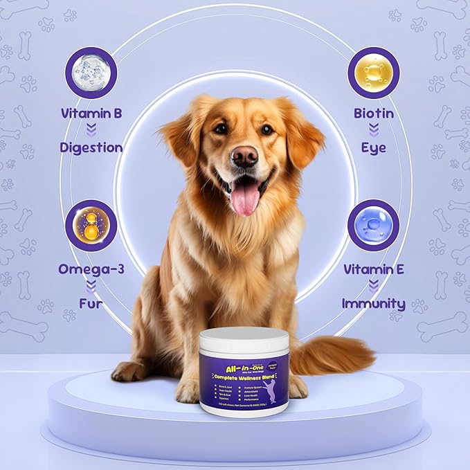 Premium Probiotics for Dogs with Digestive Enzymes & Fiber | Duck Flavor Soft Chews for Itchy Skin, Ear Health, Gut & Immune Support (120 Chews Pumpkin)