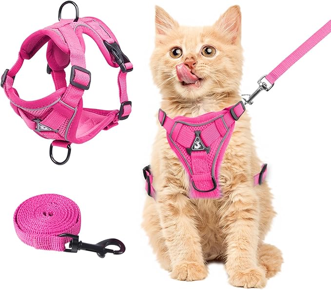 Wanheart Summer cat Chest Harness and Leash, Anti-Escape Adjustable Soft mesh cat Leash and Chest Harness Set for All Types of Cats cat Vests (Rose red, S)
