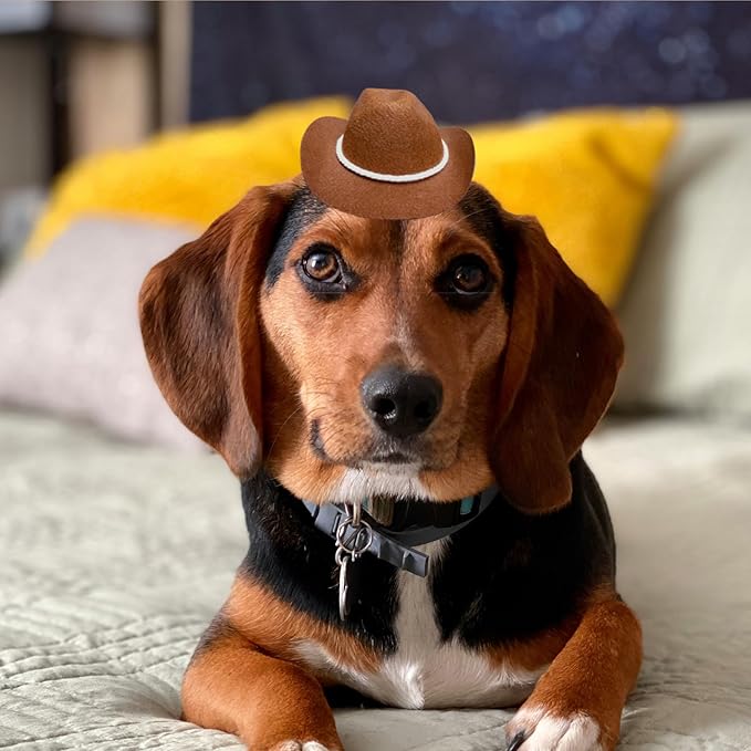 Dog Cowboy Hat Cat Cowboy Hat Pet Cowboy Costume Mini Cowboy Hat for Dogs Cat Holiday Halloween Pet Party Decoration (Brown-style3, Small)