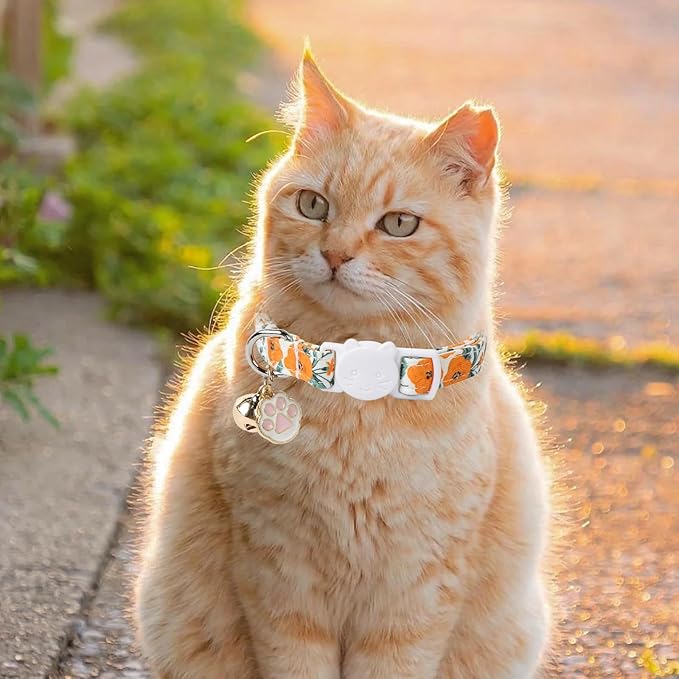 Unique Style Paws Fall Kitten Collar,2 Pack Orange Cat Collar with Sunflower Pattern,Breakaway Cat Collar with Bell,Cute Paw Pendant,Ideal Gift for Boy Girl Cats,Pet Supplies Accessories