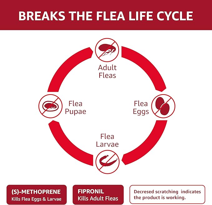 Amazon Basics Flea and Tick Topical Treatment for X-Large Dogs (89-132 Pounds), 3 Count, Packaging May Vary