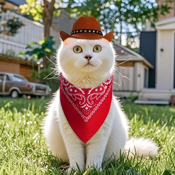 Pet Cowboy Costume Halloween Costumes for Small Pet Dogs Cat Cowboy Hat with Bandana Scarf Set Party Accessories(Brown, Small)