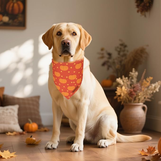 ADOGGYGO Thanksgiving Dog Bandanas 2 Pack, Reversible Pumpkin Turkey Pet Scarf, Premium Fabric, Adjustable Fit Orange Thanksgiving Bandanas for Extra Large Dogs (X-Large)