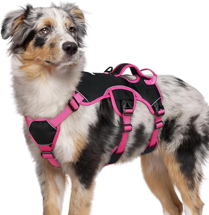 rabbitgoo Escape Proof Dog Harness Medium, Soft Padded Full Body Pet Harness, Reflective Adjustable No Pull Vest with Lift Handle and Leash Clip for Walking Hiking Training, Pink & Black, M