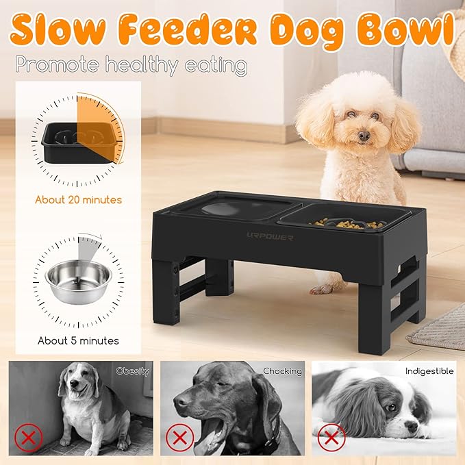 URPOWER 2-in-1 Elevated Slow Feeder Dog Bowls with No-Spill Water Bowl, 4 Height-Adjustable Raised Dog Bowls, Non-Slip Food and Water Bowls with Stand for Small, Medium, Large Dogs, Cats and Pets