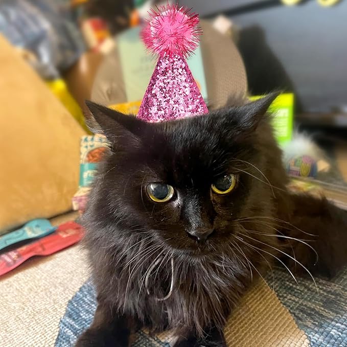 10 Pcs Mini Cat Birthday Party Hats with Pompoms colorful sequins, Puppy Holiday Wedding Hats, Cute Pet Costume Hat Accessories for Small Dogs Kittens Rabbits Stuffed Animals (Small, sequined pom-pom)