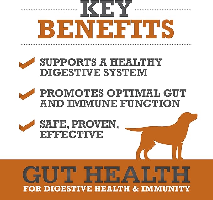 WINPRO Dog Gut Health Supplements – Plasma-Powered Chews for Dog Immune Support & Digestive Health, Fast-Acting Solution for Gut Health for Dogs of All Breeds & Sizes, 60 Count, Made in USA