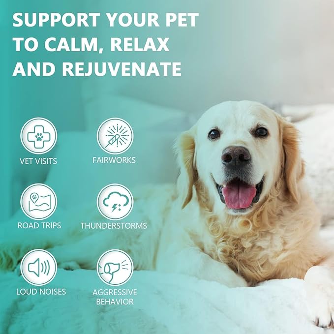 (3 Pack) Max Potency Hemp Oil for Dogs & Cats - Help Anxiety Stress Pain Inflammation Arthritis Aggressive Relax Sleep Allergies Seizures Relief - Treats Chews Joint & Hip - Organic Pet Calming Drops