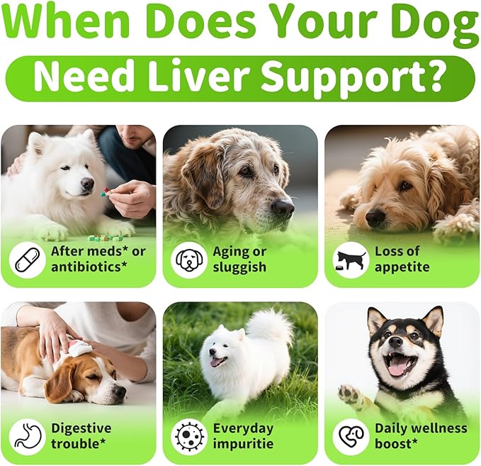Dog Liver Support Chews - with Milk Thistle (Silybum), Same & NAC - Liver Supplement for Metabolic - Detox - Gut & Immune Health - Chicken Flavor, 90 Soft Chews
