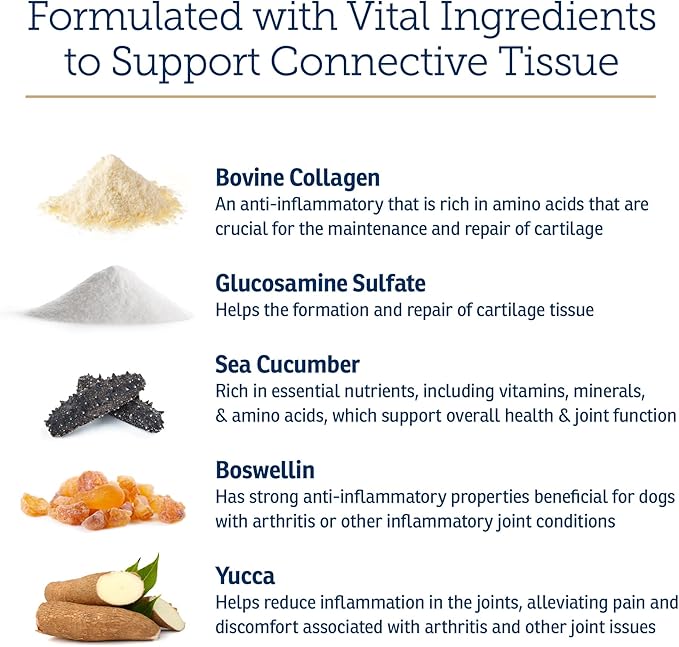 Rx Vitamins NutriFlex for Cats & Dogs - Glucosamine for Dogs Hip and Joint Supplement - with Bovine Collagen and Chondroitin - Joint Pain Relief & Anti Inflammatory - Beef Liver (90 Chews)