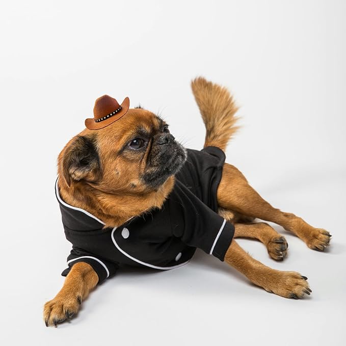 Dog Cowboy Hat Cat Cowboy Hat Pet Cowboy Costume Mini Cowboy Hat for Dogs Cat Holiday Halloween Pet Party Decoration (Brown, Small)