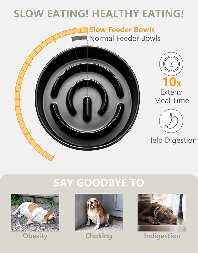 Ceramic Slow Feeder Dog Bowls Elevated, 0.6 Cup Slow Feeder for Small Dogs and Cats, Puzzle Maze Bowl, Prevents Choking, 6in, Black