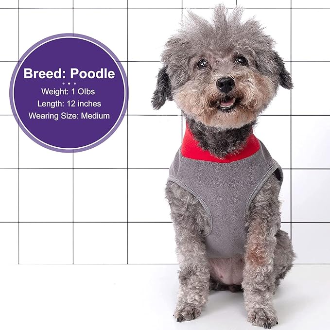 cyeollo 2 Pack Dog Sweaters Stretchy Fleece Sweatshirt with Leash Hole Pullover Stretchable Reflective Dog Sweater Pet Clothes for Small Puppy Dogs Cats Apparel Size S