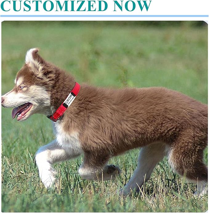 Custom Dog Collars with Name Plate, Engraved Name Plate ID Tags with Reflective Nylon Dog Collar,Soft Neoprene Padded Adjustable Pet Collar for Small Medium Large Dogs,XS Pink