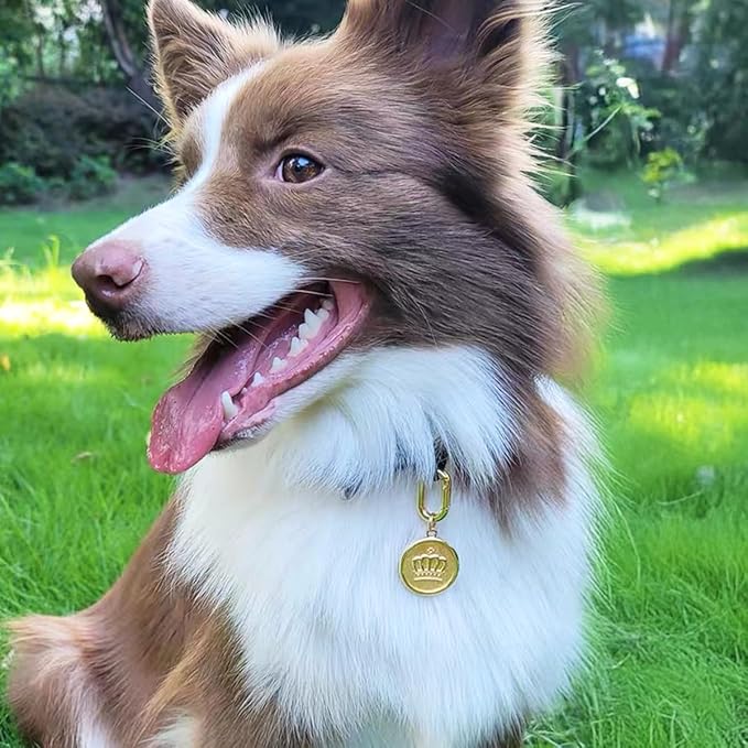 Dogs ID Tags Personalized Double Sided Deep Engraved Cat & Dog Collar Charm Round Shape Frosting Process Silver/Gold Plated (Bone-Cross Gold)