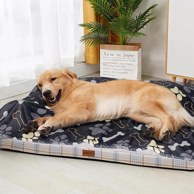 Dog Blanket for Medium Dogs Washable - Soft Fluffy Puppy Blanket with Premium 300GSM Coral Fleece, Cozy Calming Cat Blankets for Indoor Cats for Kitten Doggy, Black