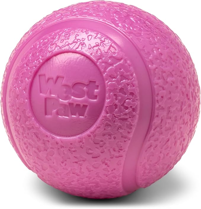 WEST PAW Boundr Ball Dog Fetch Toy – Bouncing Toys for Dogs, Fetch, Catch, Chewing, Play – Floatable, Recyclable Balls – Small Hot Pink/Aqua Blue 2-Pack