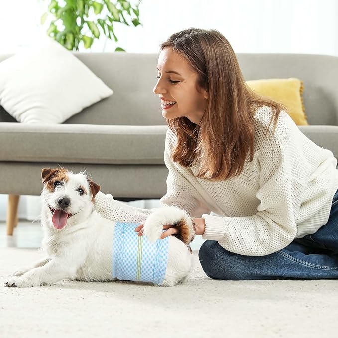 Disposable Belly Bands for Male Dogs, Puppy Diapers Male with Wetness Indicator, Super Absorbent Soft Male Dog Diapers, M, 40 Count