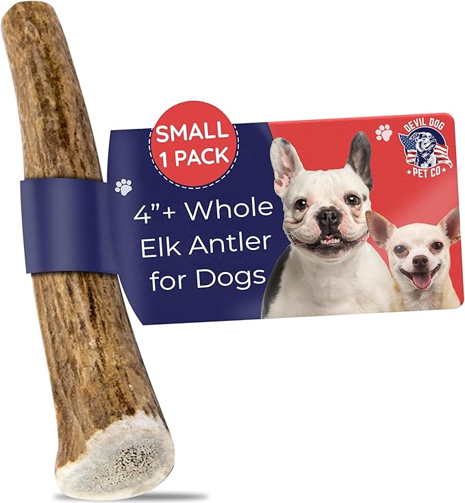 Devil Dog Pet Co. Elk Antlers for Dogs, Petite 3.5"+, 6 Pack, Grade A Long Lasting Chew for Aggressive Chewers, Premium USA Naturally Shed Antler – Healthy, No Odor, Durable Dog Chew