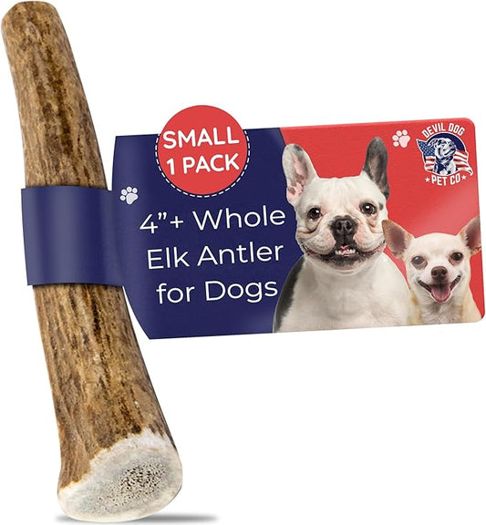 Devil Dog Pet Co. Elk Antlers for Dogs, Petite 3.5"+, 6 Pack, Grade A Long Lasting Chew for Aggressive Chewers, Premium USA Naturally Shed Antler – Healthy, No Odor, Durable Dog Chew