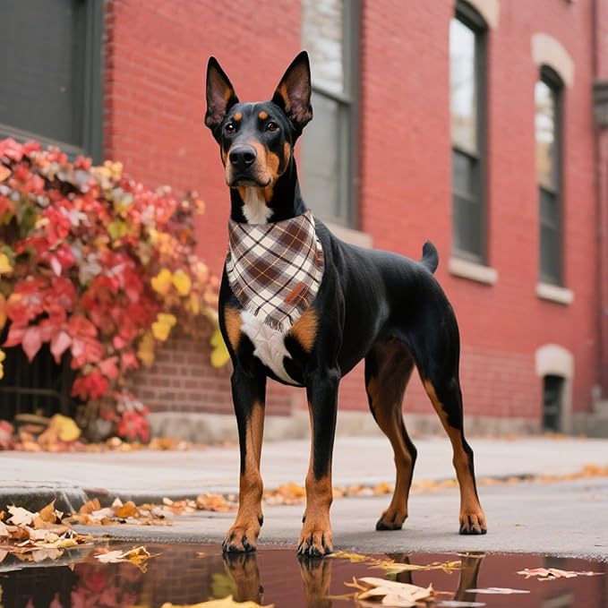 ADOGGYGO Fall Dog Bandanas with Tassels Edges, Orange Brown Plaid Scarf Bib, Multi Size, Fall Thanksgiving Halloween Bandanas for Extra Large Dogs (X-Large)